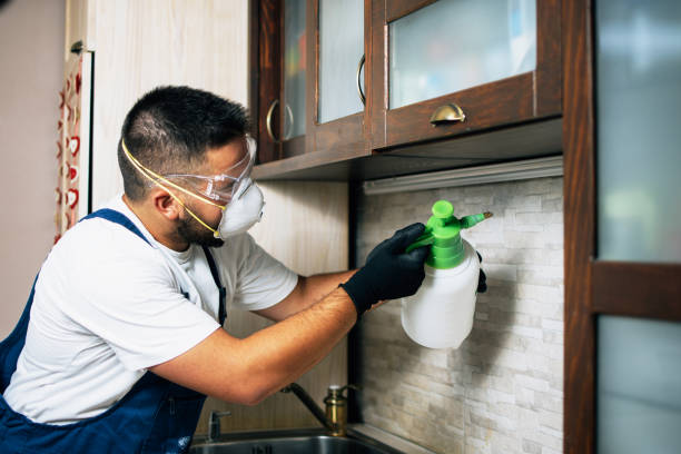 Best Best Pest Control Companies  in Portland, ME