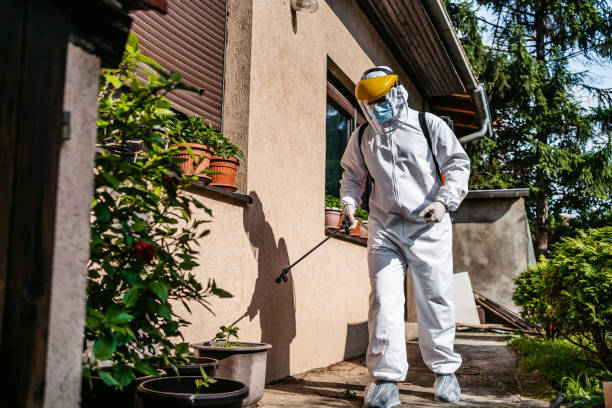 Best Termite Control Services  in Portland, ME