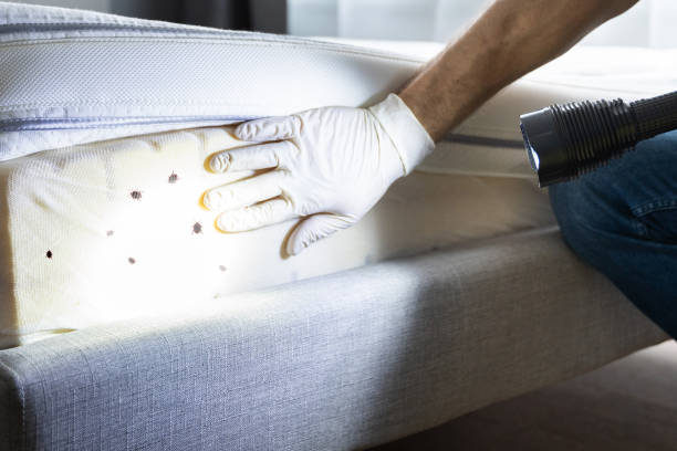 Best Affordable Pest Control Services  in Portland, ME